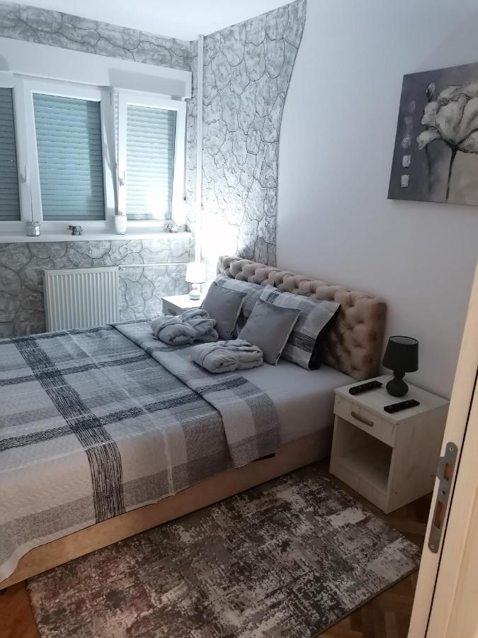 Vemiur Apartment Čačak Екстериор снимка